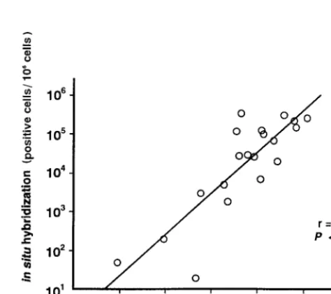 TABLE 1. Performance of a real-time PCR assay for diagnosingsymptomatic EBV infections and comparisonwith a qualitative PCR assay