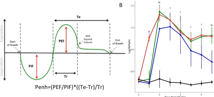 Fig 2. Penh shows increased sensitivity in dose-dependent responses following SARS-CoV infection