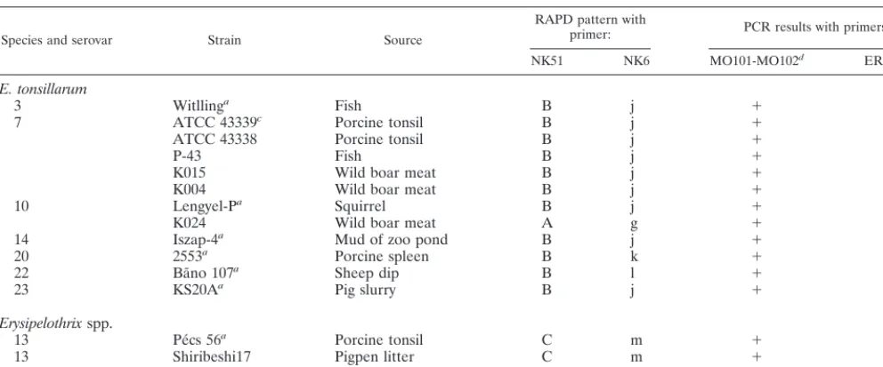 TABLE 1—Continued