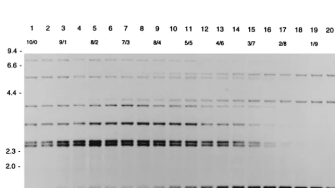 FIG. 1. IS6110three different patients (A to C). Lanes 1 show the banding patterns of theisolates, with LIBs indicated by arrows