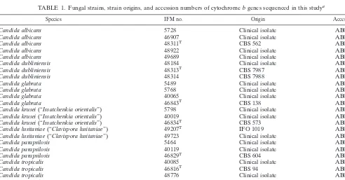 TABLE 1. Fungal strains, strain origins, and accession numbers of cytochrome b genes sequenced in this studya