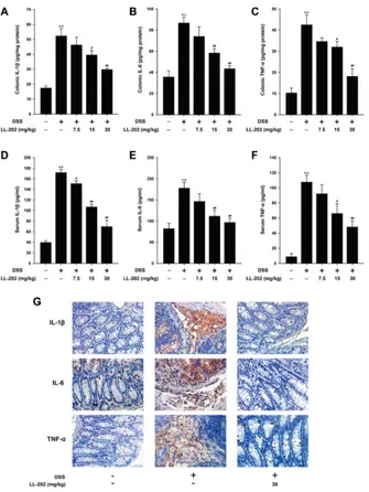 Figure 3: LL202 inhibited pro-inflammatory cytokines production in colon tissues and serum of DSS-colitis mice