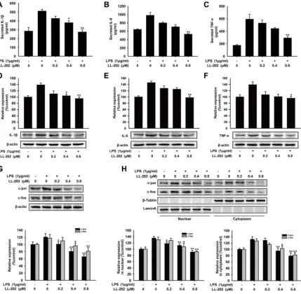 Figure 8: Effects of LL202 on pro-inflammatory cytokines production and AP-1 expression in LPS-induced BMDMs