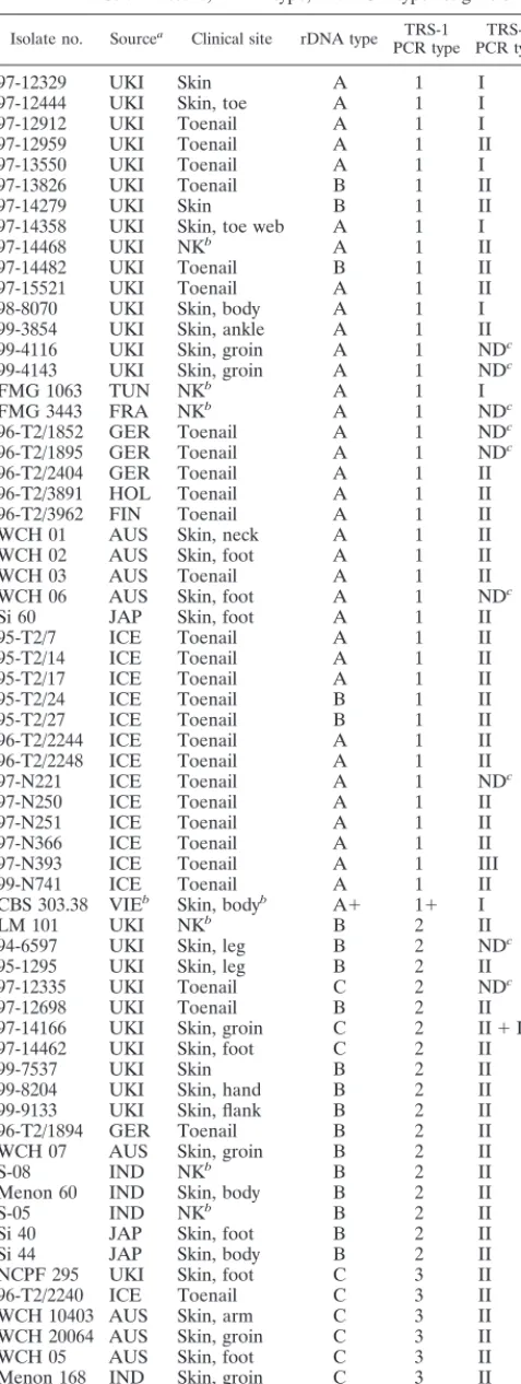 TABLE 1. Strain details, rDNA type, and PCR type assignations.