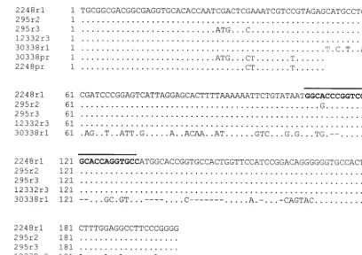 FIG. 2. Sequence variation in the TRS-1 elements of T. rubrumin 295r3. The 27-bp palindromic sequence is shown in bold and overlined