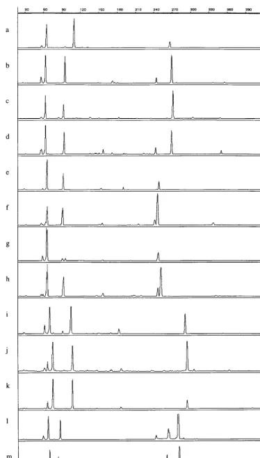 FIG. 1. tDNA-PCR ﬁngerprint patterns of enterococcal strains. a, E. faecalis10745; k,e, E