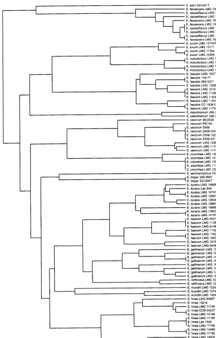 FIG. 2. Dendrogram obtained from tDNA-PCR ﬁngerprints after similarity calculation with the in-house software and clustering with UPGMA using Neighborsoftware