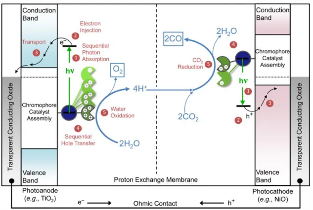 Figure 1.1. Schematic diagram of a tandem DSPEC for solar-driven splitting of CO 2  into CO and  O 2 