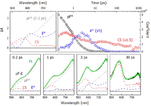 Figure 2.8. (Top, left) Spectral contributions from pF* (0.2 ps), iI*, and the CS state used in the  spectral modeling, normalized at 580 nm