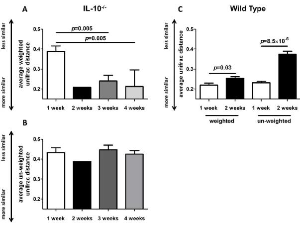 Figure 4.2. Changes in weighted and un-weighted average UniFrac distances in formerly GF  wild type (WT) and IL-10 −/−  mice over time