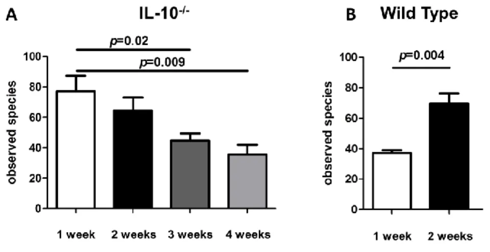 Figure 4.3. Microbial richness of 16S rRNA data. (A) The number of observed bacterial species  in formerly GF IL-10 −/−  mice decreases between one and four weeks following colonization with  an SPF microbiota