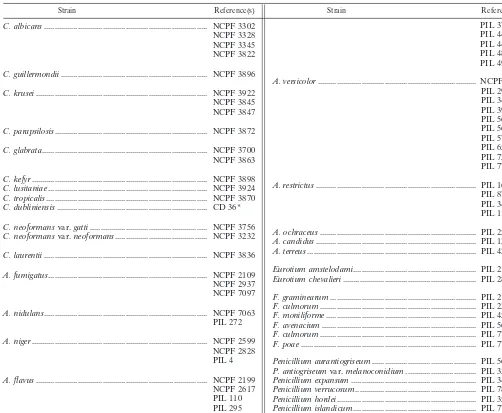 TABLE 1. List of typed fungal isolates used in this study