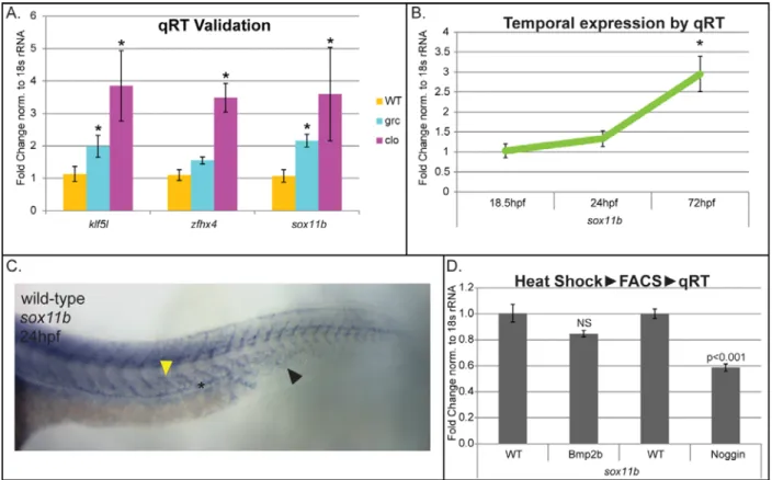 Figure 2.3:  sox11b expression is elevated in kdrl +  cells isolated from  avascular mutant embryos