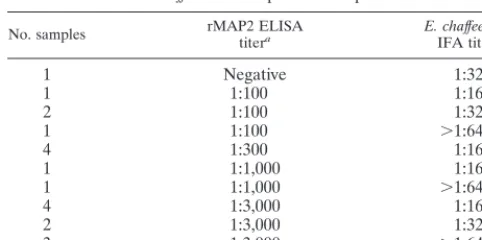 TABLE 1. Comparison of rMAP2 ELISA results with 20E. chaffeensis IFA-positive samples