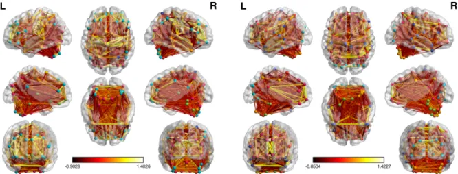 Figure 2.1: Functional networks and estimated latent structure from 2 subjects