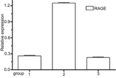 Figure 10. NA treatment. 1: Control group; 2: AGEs 40 μg/mL and Calponin expression under AGEs and RAGE siR-Western blotting results of SMα-actin group; 3: RAGE siRNA+AGEs 40 μg/mL group.