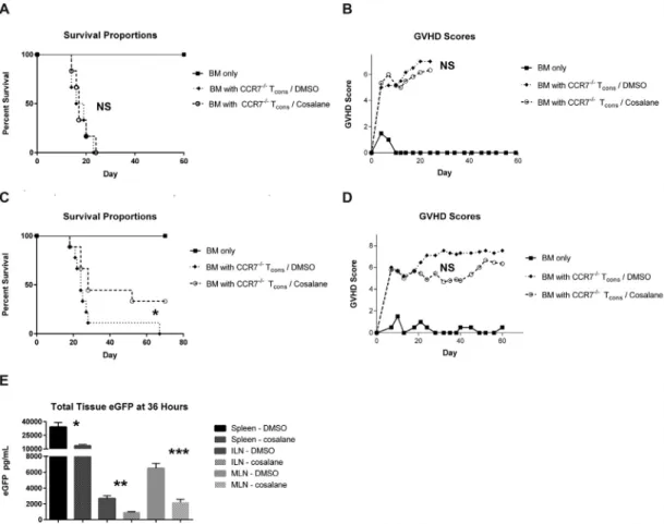 Figure 5. Cosalane functions in a CCR7-associated manner and alters donor T con trafﬁcking into SLT early after transplantation