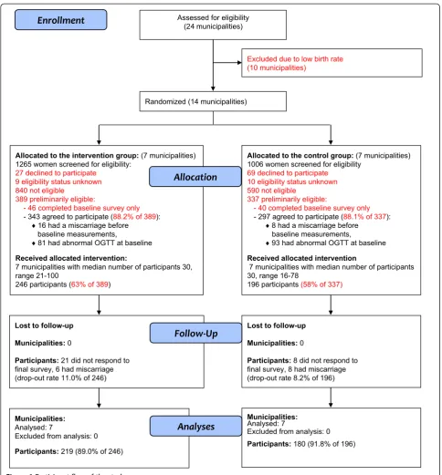 Figure 1 Participant flow of the study.