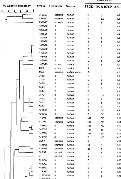 FIG. 1. Dendrogram made from the AFLP fragment patterns of all the analyzed strains with their corresponding PFGE, PCR-AFLP, and AFLP proﬁle names.Different outbreaks are numbered and are from different regions and years as follows: 1, southwest Norway, 1998; 2, north Norway, 1988; 3, Lake Mjøsa annual bicycle