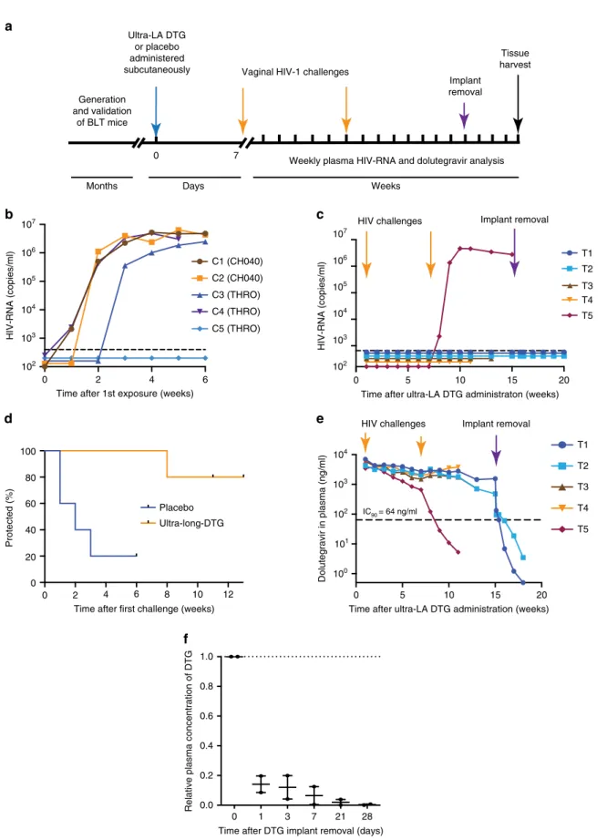 Fig. 4 A single dose of ultra-LA dolutegravir protects against multiple high dose HIV-1 challenges