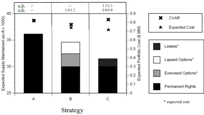 Figure 2.8.  Optimized one-year portfolio results (