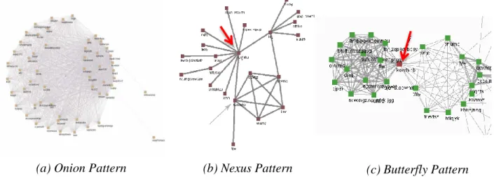 Figure 4. Patterns Observed by Fisher &amp; Dourish  [9]  in  collaboration graphs