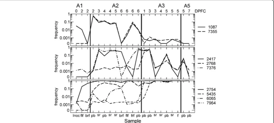 Figure 3 Genetic network of the samples collected during the study. Results shown are for consensus sequences using statistical parsimonyimplemented in TCS [38] using.
