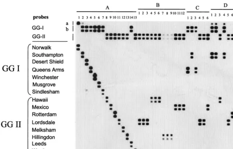 FIG. 1. Detection and simultaneous typing of NLV strains from OBs (20 strains in panels B and D) and sporadic cases (6 strains in panel C) of gastroenteritis inThe Netherlands