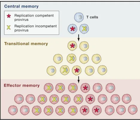 Figure 3. Persistence and Proliferation in Latency