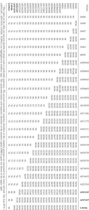 TABLE 3. Pairwise comparison of the complete genomic and putative capsid gene (ORF2) sequences of PCV-1 and PCV-2