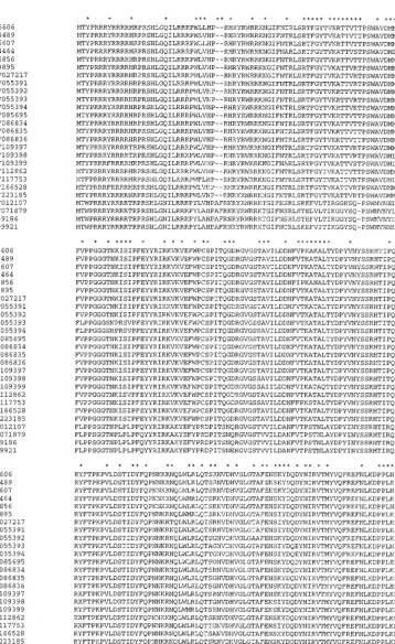 FIG. 3. Amino acid sequence alignment of the putative capsid protein (ORF2) of PCV-1 and PCV-2 isolates sequenced thus far