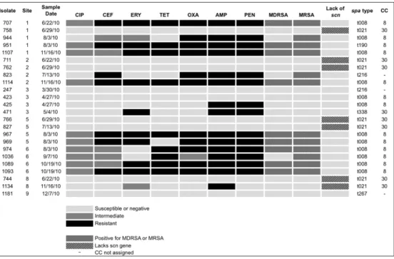 Fig. 3. Genotype and antibiotic resistance proﬁles of conﬁrmed MSSA and MRSA isolates