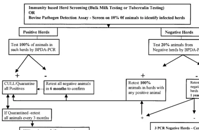 FIG. 2. Proposed algorithm for a stepwise repeat sampling and testing protocol for a disease eradication scheme
