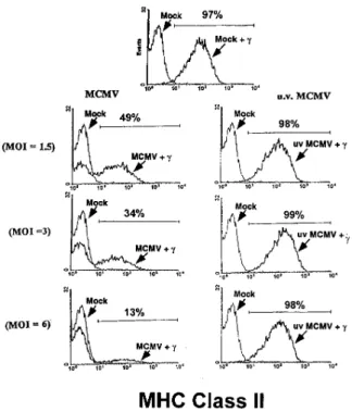 Figure 1. MCMV infection impairs IFN- g–enhanced  pep-tide presentation by MHC class II