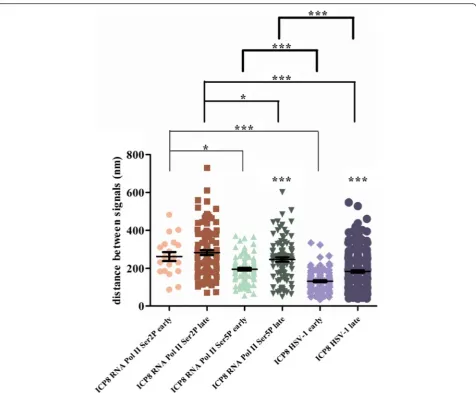 Fig. 7 Average distances of ICP8 and RNA Pol II Ser2P, ICP8 and RNA Pol II Ser5P, HSV-1 genome and ICP8