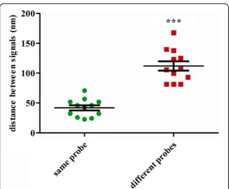 Fig. 3 Average distances of the same probe and different probes.Distances of the same probe and different probes were calculatedunder STED microscopy