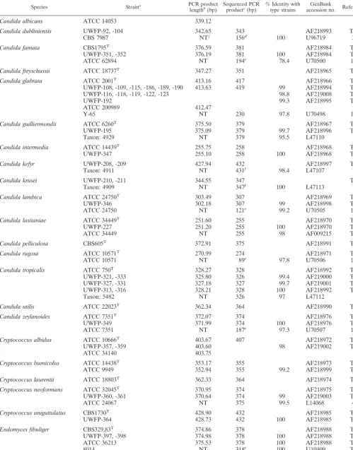 TABLE 2. Length and sequence polymorphisms of ITS2 region DNA from clinical strains and type strains