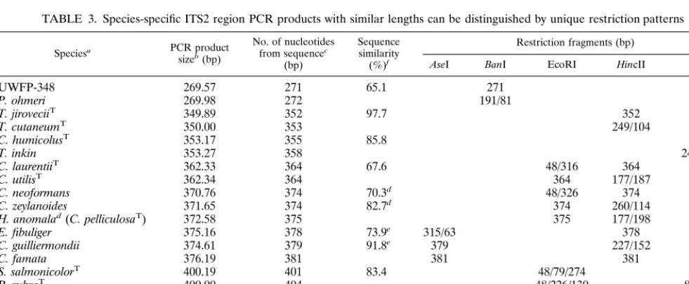 FIG. 2. ITS2 region PCR product length as determined by capillary electro-phoresis versus actual PCR product length as determined by direct sequencing.