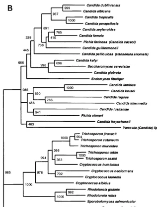 FIG. 3—Continued.