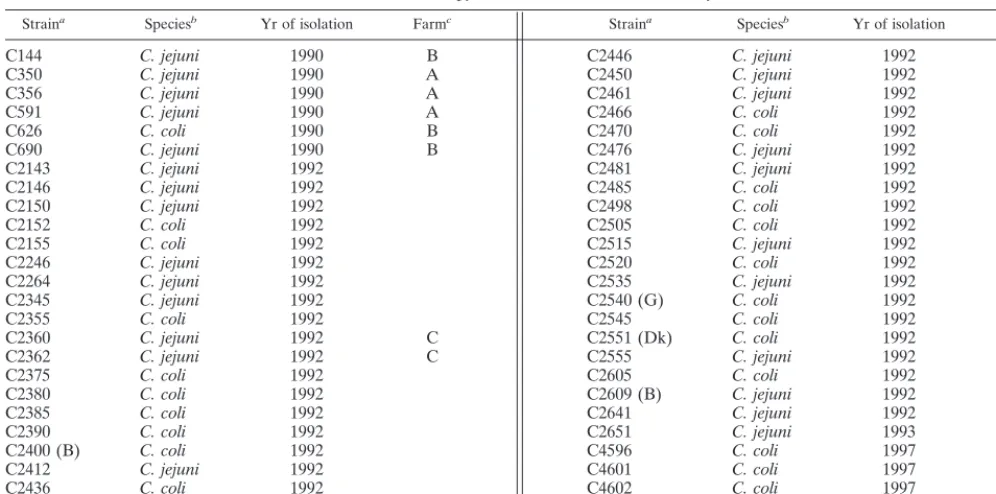TABLE 1. Campylobacter strains used in this study