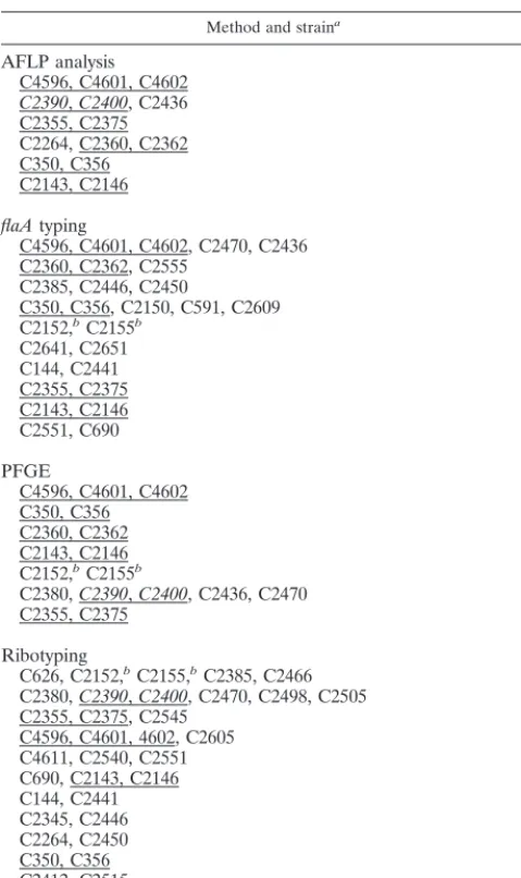 TABLE 2. Schematic representation of the strains with more than90% genetic homology as determined by analysis with GelComparversion 4.1