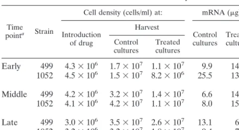 TABLE 1. Cell densities and mRNA yields