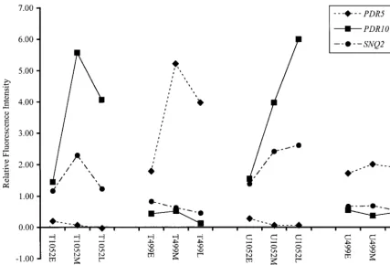 FIG. 4. Expression proﬁles of the yeast pdrpoints (early [E], middle [M], and late [L]), (ii) the two experimental treatments (drug treated [T] and untreated [U], and (iii) each of the two strains (1052 and 499), genes PRD5, PDR10, and SNQ2