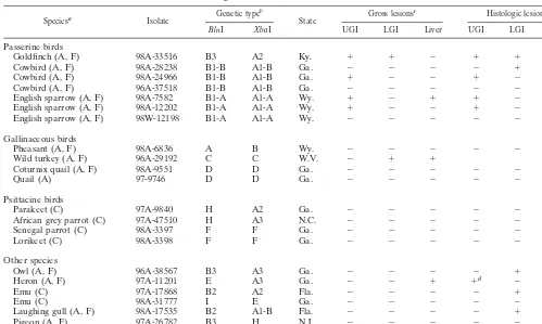 TABLE 1. Gross and histologic lesions associated with salmonellosis in nondomestic birds