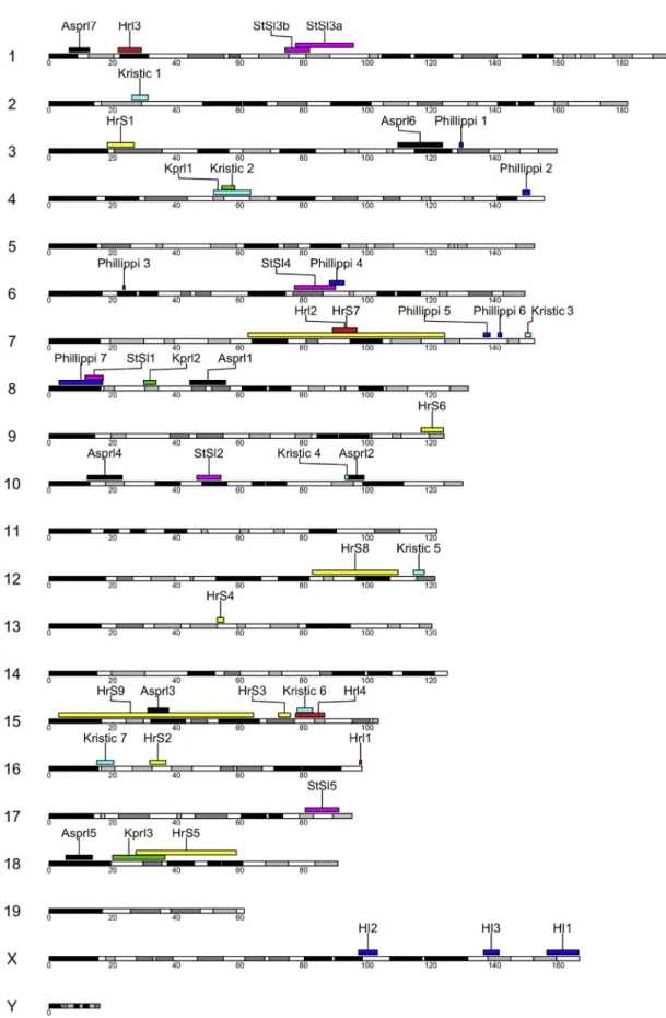 Figure 2. Summary of Infectious Disease and Immunity QTLs Mapped in the CC