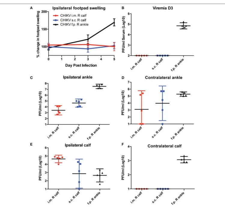 FIGURE 3 | incorporated in the CHKVf5 fusion gene. (C) IFNγ ELISpot assay performed using splenocytes from mice vaccinated with the indicated vaccine and challenged with CHIKV SL15649 in the footpad (“#” indicates too numerous to count; “nd” indicates not 