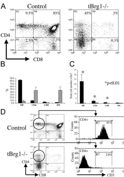 Figure 3. Block in T cell development at the DN stages in tBrg1   mice. (A) Flow cytometric analysis of CD4 versus CD8 expression on thymocytes from 4-wk-old tBrg1   mutant and control littermates