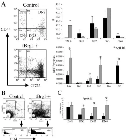 Figure 4. Loss of Brg1 derepresses CD4 expression and induces arrest at the DN stages of thymocyte development.