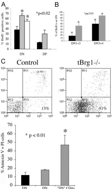 Figure 6. Expression analysis of Brg and TCR at the DN3 stage.