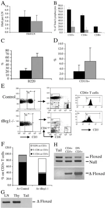 Figure 7. Peripheral T cell populations in tBrg1   mice. (A) Total LN cell counts represented in bar graph format for control (solid bars, n  9) and mutant (hatched bars, n  11)